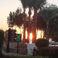 фото из отзыва ID 2646372