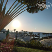 фото из отзыва ID 2646372