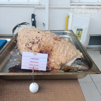 фото из отзыва ID 2646374