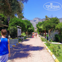 фото из отзыва ID 2646374