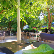 фото из отзыва ID 2646374