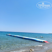 фото из отзыва ID 2646374