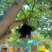 фото из отзыва ID 2646374