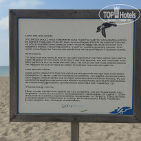 фото из отзыва ID 2646443