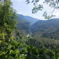 фото из отзыва ID 2646446