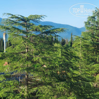 фото из отзыва ID 2646446