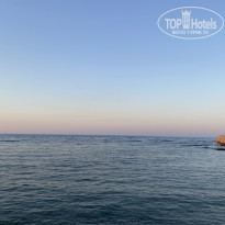 фото из отзыва ID 2646476