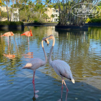 фото из отзыва ID 2646495