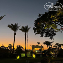 фото из отзыва ID 2646494