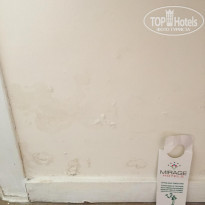 фото из отзыва ID 2646385