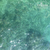 фото из отзыва ID 2646503