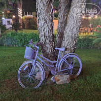 фото из отзыва ID 2646570