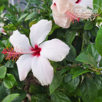 фото из отзыва ID 2646570