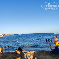 фото из отзыва ID 2646576