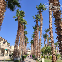 фото из отзыва ID 2646576