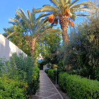 фото из отзыва ID 2646621