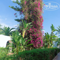 фото из отзыва ID 2646621