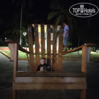 фото из отзыва ID 2646623