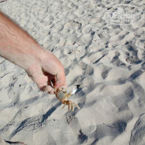 фото из отзыва ID 2646623