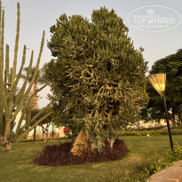 фото из отзыва ID 2646634