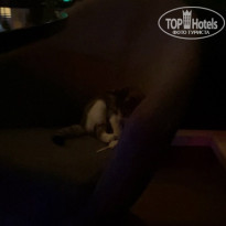 фото из отзыва ID 2646643