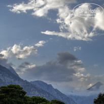 фото из отзыва ID 2646654