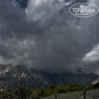 фото из отзыва ID 2646654