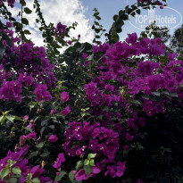 фото из отзыва ID 2646654