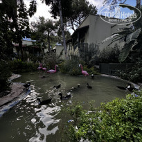 фото из отзыва ID 2646654