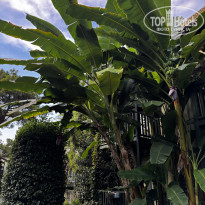 фото из отзыва ID 2646654