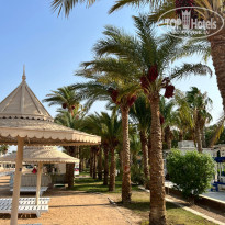 фото из отзыва ID 2646507