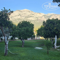 фото из отзыва ID 2646677