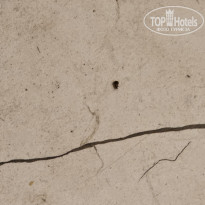 фото из отзыва ID 2646775