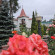 фото из отзыва ID 2646782
