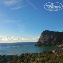 фото из отзыва ID 2646791