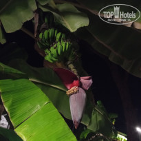 фото из отзыва ID 2646775