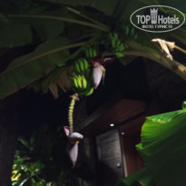 фото из отзыва ID 2646775