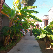 фото из отзыва ID 2646775