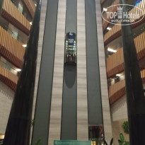 фото из отзыва ID 2646775