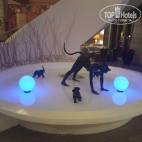 фото из отзыва ID 2646775