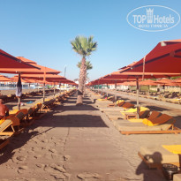 фото из отзыва ID 2646775