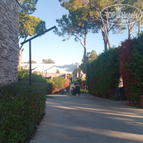 фото из отзыва ID 2646775