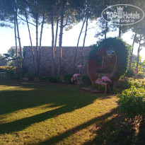 фото из отзыва ID 2646775