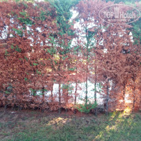 фото из отзыва ID 2646775