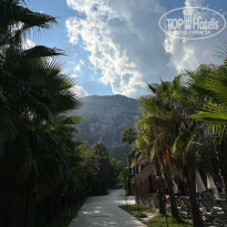 фото из отзыва ID 2646218