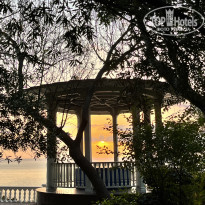 фото из отзыва ID 2646939