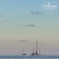 фото из отзыва ID 2646939