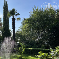 фото из отзыва ID 2646939