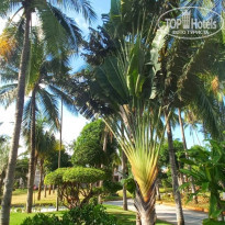 фото из отзыва ID 2646962