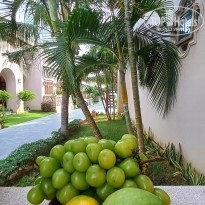 фото из отзыва ID 2646962